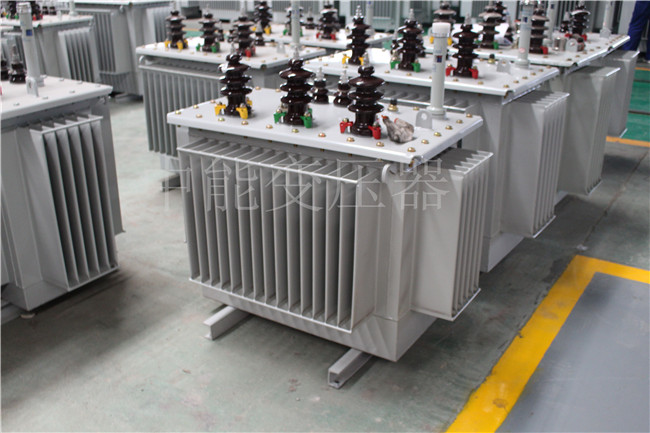 眉山S22-100KVA/10KV/0.4KV变压器